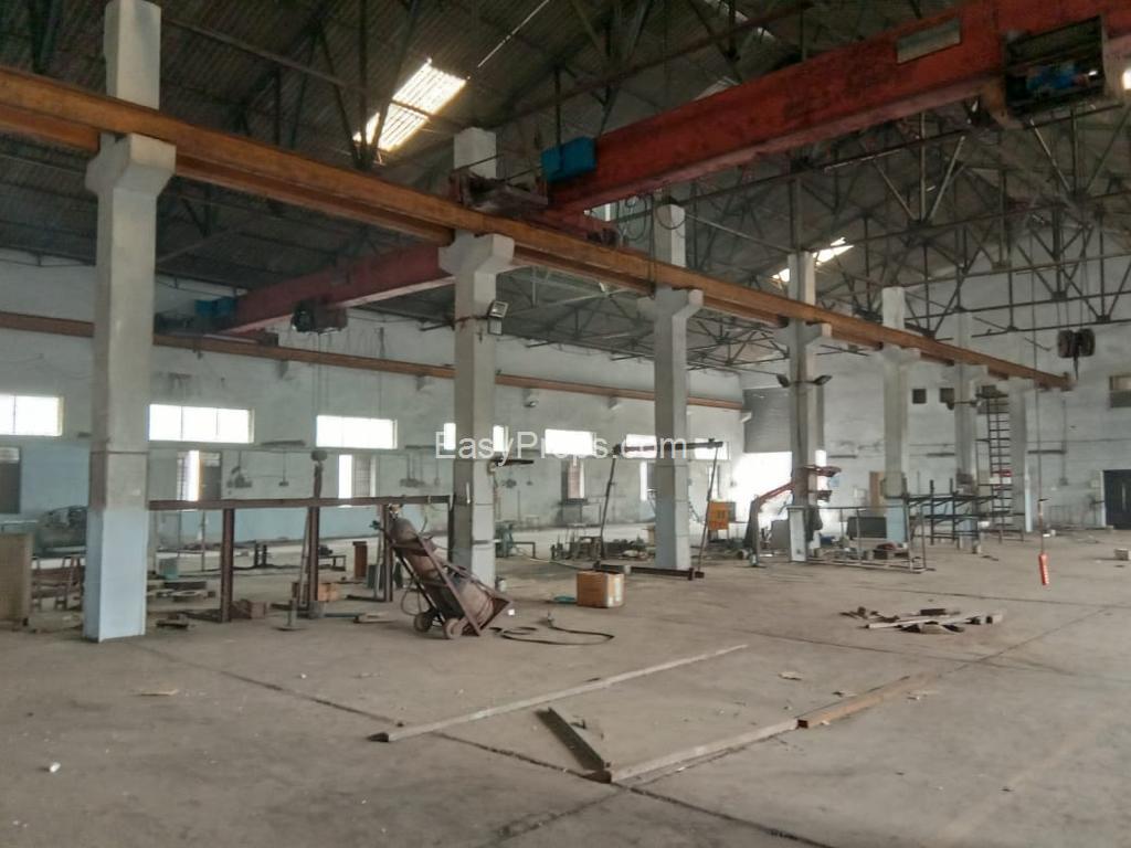 WhatsApp Image 2024-01-20 at 920240122181343812.jpeg